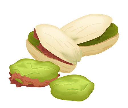 A close-up of fresh pistachio nuts, showcasing their green kernels and split shells.のイラスト素材