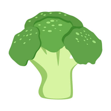 Illustration of broccoli in vector format, with detailed texture and vibrant colors.のイラスト素材