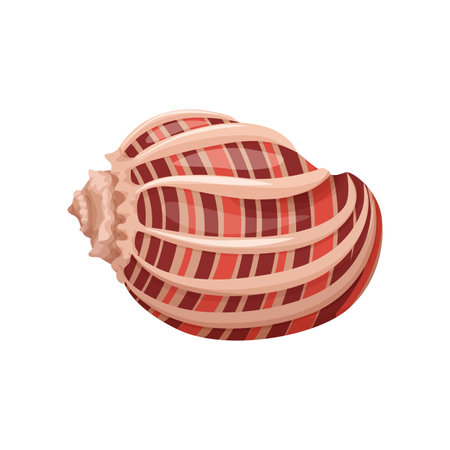 Striped seashell vector art with detailed patterns and vibrant colors.のイラスト素材