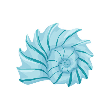 Vector illustration of a seashell with detailed patterns and vibrant colors.のイラスト素材
