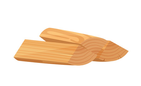 A vector image of wooden log pieces, showcasing detailed texture and cut sections.のイラスト素材
