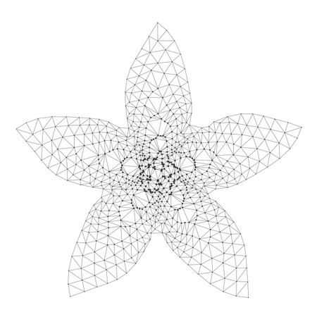 Abstract geometric star shape formed by interconnected wireframe triangles, ideal for technology, science, or modern design projects isolated on white background vector illustrationのイラスト素材