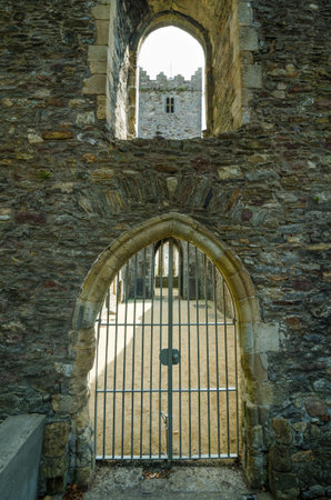 The ruins of Greyfriars in Waterford, Ireland are all that is left of the Franciscan Friary founded...