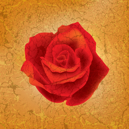 abstract grunge illustration with red rose on yellowのイラスト素材