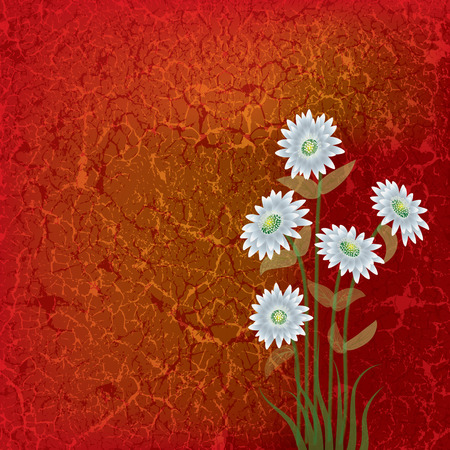 abstract floral illustration with white flowers on cracked backgroundのイラスト素材