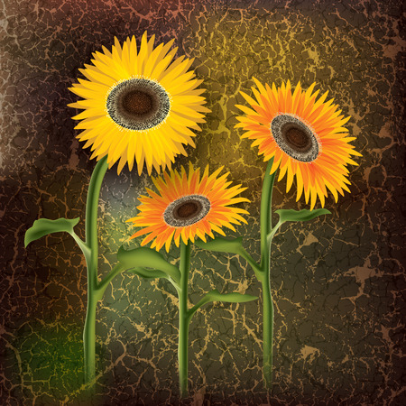 abstract floral illustration with sunflowers on darkのイラスト素材