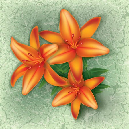 grunge floral illustration with orange flowers on greenのイラスト素材