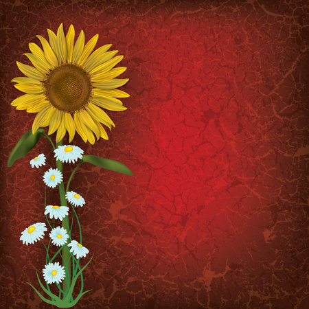 grunge floral illustration with sunflower and chamomiles on redのイラスト素材