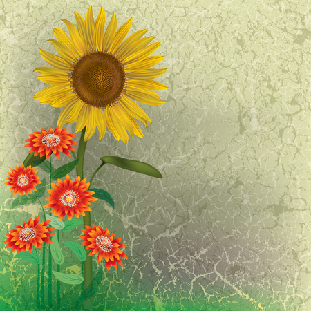 grunge floral illustration with sunflower and red flowersのイラスト素材