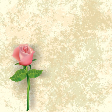 abstract floral illustration with rose on dirty beige backgroundのイラスト素材