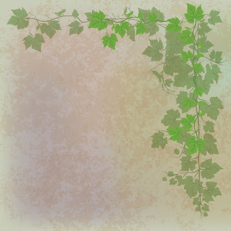 grunge illustration with grape leaves on greyのイラスト素材