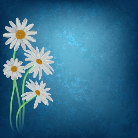 abstract floral background with chamomiles on dirty blueのイラスト素材