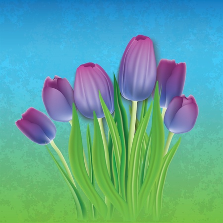 abstract floral background with purple tulips on blueのイラスト素材
