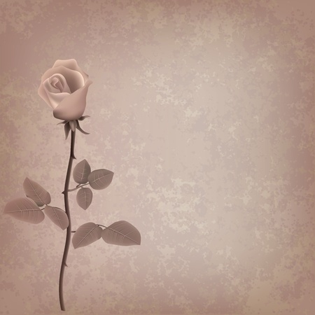abstract grunge floral background with rose on beigeのイラスト素材