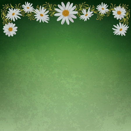 abstract grunge floral background with chamomiles on greenのイラスト素材