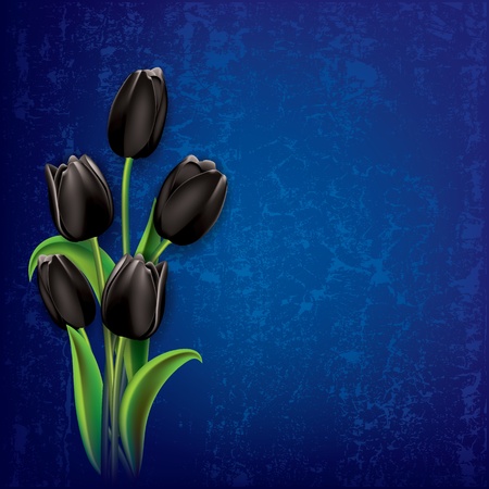 abstract floral grunge background with black tulips on blueのイラスト素材