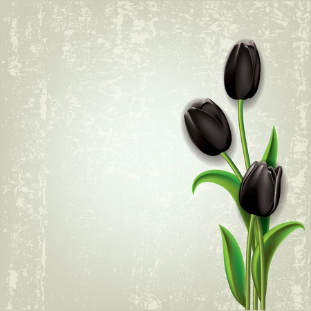 abstract floral grunge background with black tulipsのイラスト素材