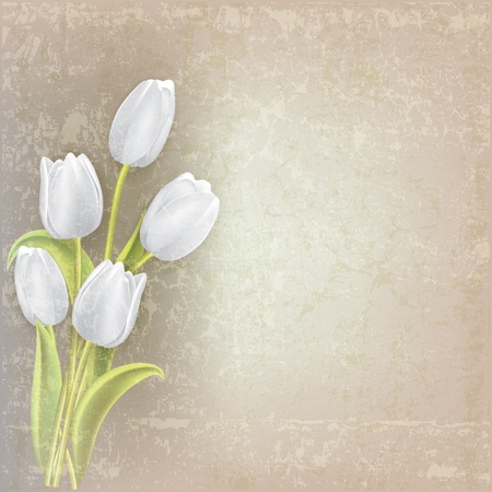 abstract floral grunge background with white tulipsのイラスト素材