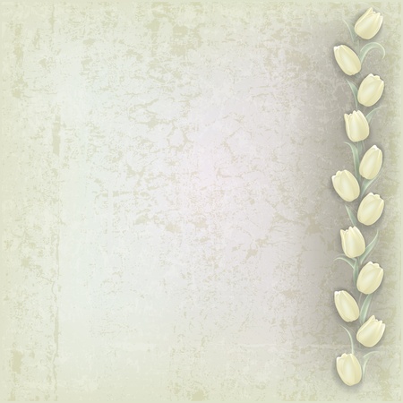abstract grunge grey background with white tulipsのイラスト素材
