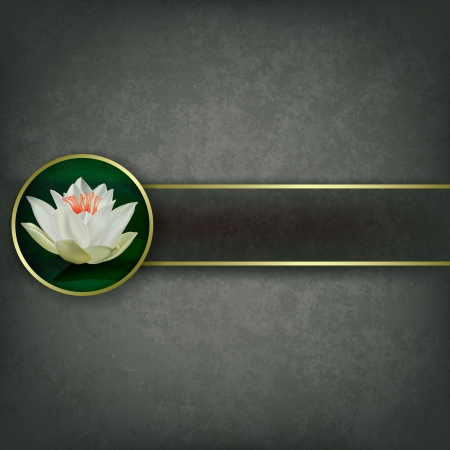 abstract grunge gray background with white lotusのイラスト素材