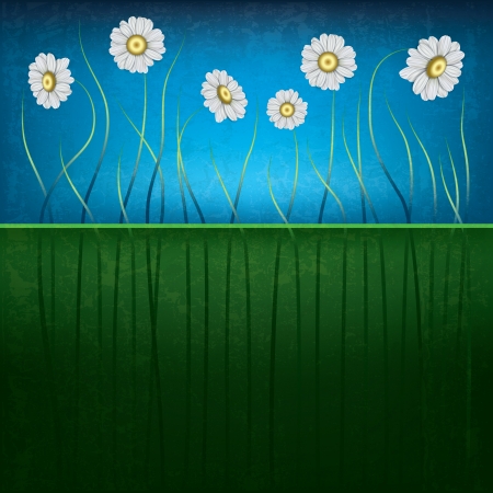 abstract grunge green floral background with chamomiles and grassのイラスト素材