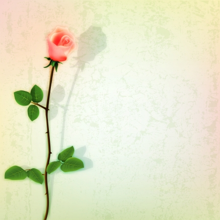 abstract grunge floral background with red rose on greenのイラスト素材