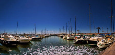 Overview of the Moloのeditorial素材