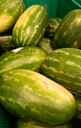Watermelons of various shapes inside a large containerの写真素材