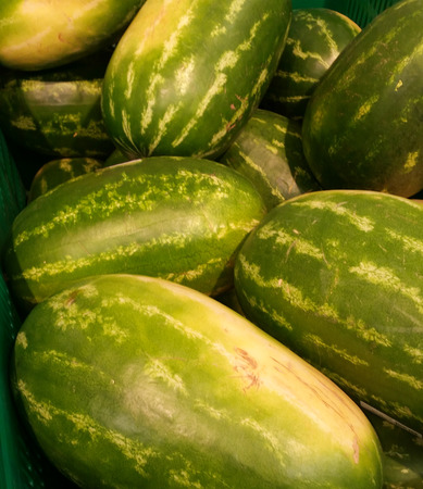 Watermelons of various shapes inside a large containerの写真素材
