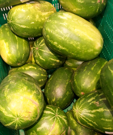 Watermelons of various shapes inside a large containerの写真素材