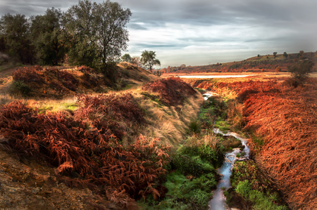 Small stream between colored fieldsの写真素材
