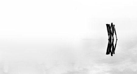 Isolated trunk in lake in high keyの写真素材