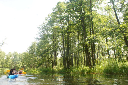 kayaking on polish riverの写真素材