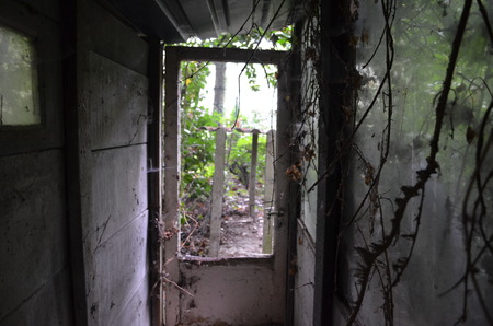 Old and damaged doorの写真素材