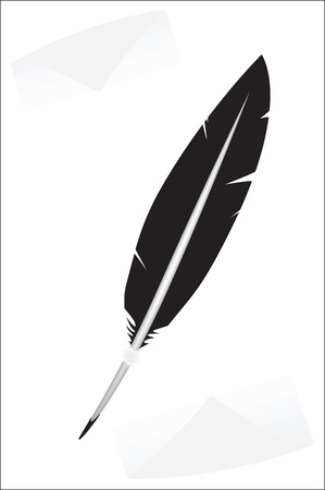 Vector feather on a white backgroundのイラスト素材