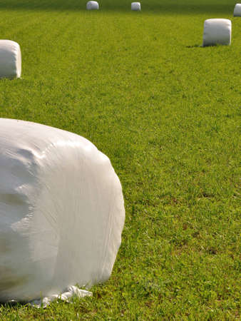 bales of straw wrapped up in plasticの写真素材