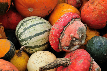 a pile of pumpkins just for sale