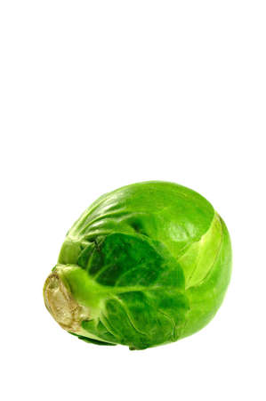 one brussel sprout isolated on white backgroundの写真素材