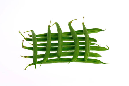 a bunch of green beansの写真素材