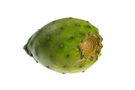 a fresh prickly pear isolatedの写真素材