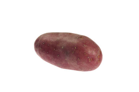 red potato on white backgroundの写真素材