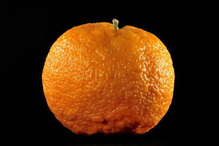 fresh orange on black backgroundの写真素材