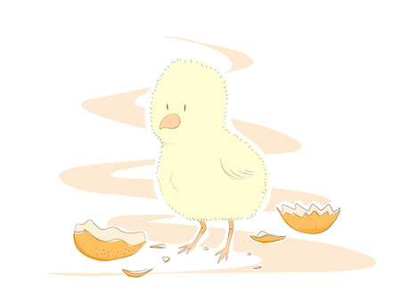 Cute Chick, a hand drawn vector illustration of a cute, newly-hatched chick for your project needs. some objects are on their own separate groups for easy editing.のイラスト素材