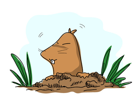 Mole, a hand drawn vector illustration of a mole coming out of the ground, isolated on a simple background editable.のイラスト素材