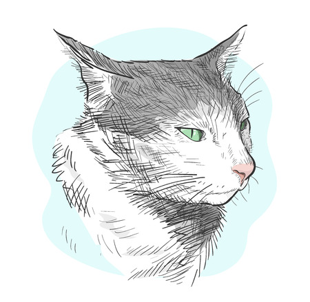 Cat, a hand drawn vector illustration of a cat, isolated on a simple background (editable).のイラスト素材