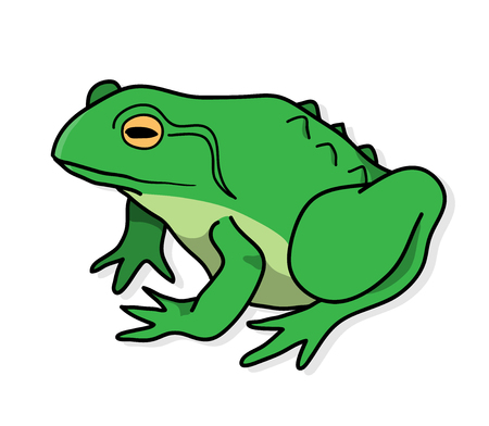 Frog, a hand drawn vector illustration of a frog with shadow backdrop.のイラスト素材