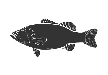 Largemouth bass silhouette, hand drawn vector illustration of a largemouth bass game fish, isolated...