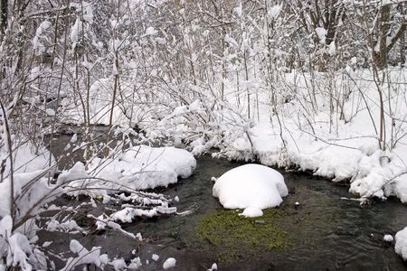Winter natural landscape with trees and river.の写真素材