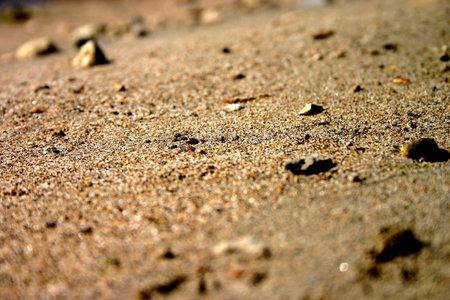 Close up of amber sand in hot summer.の写真素材