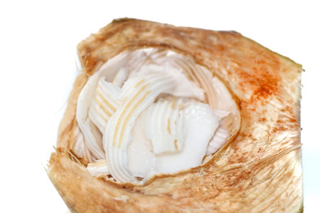 Pictures of haft coconut slices and ready for eat, concept fruit of Thailand.